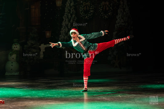 25-lutins-coquins_260