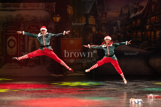 25-lutins-coquins_266