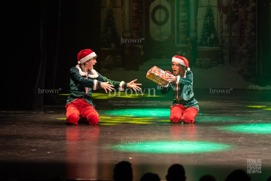 25-lutins-coquins_273